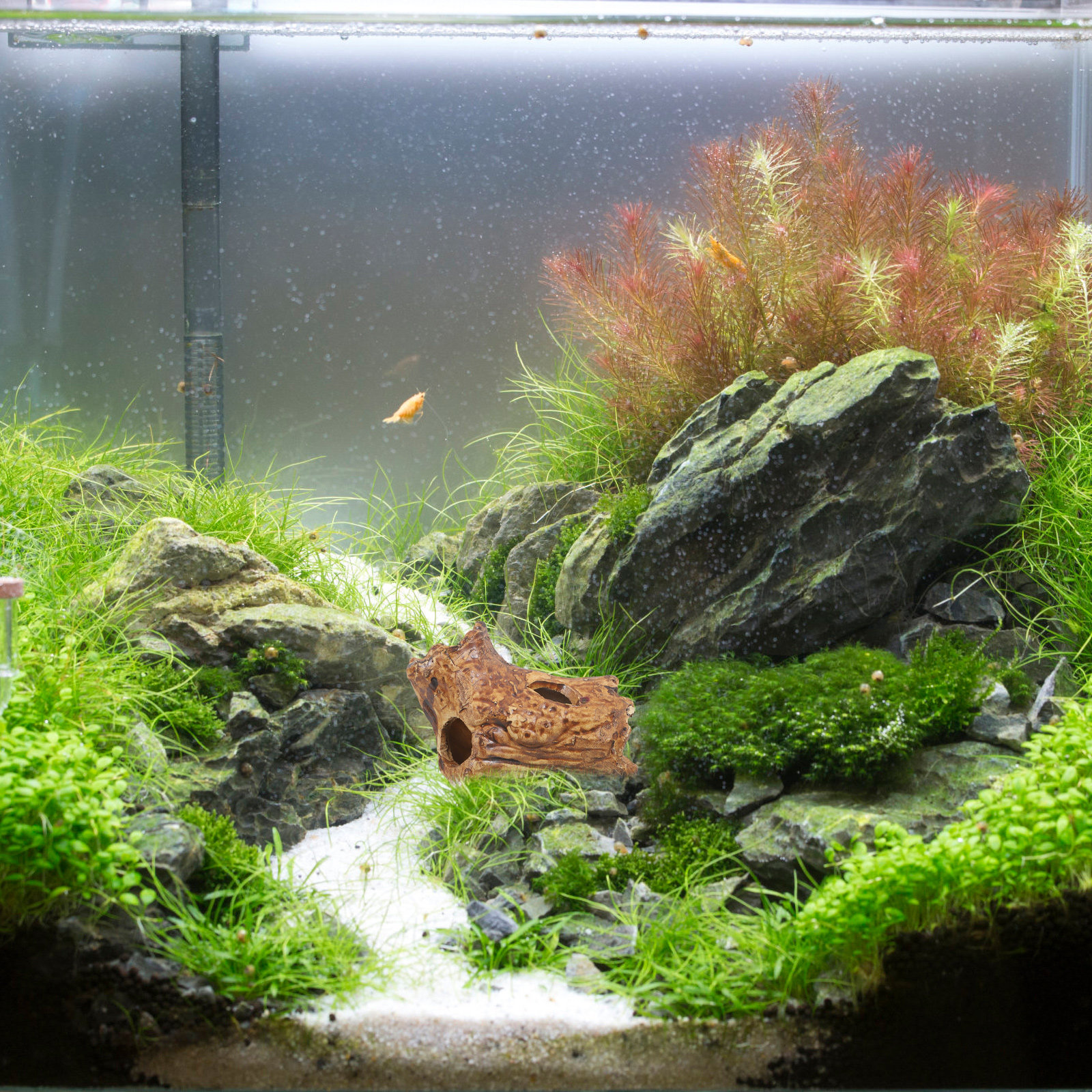 Hide Cave Ceramic - Premium Ceramic Aquarium Hides for Fish