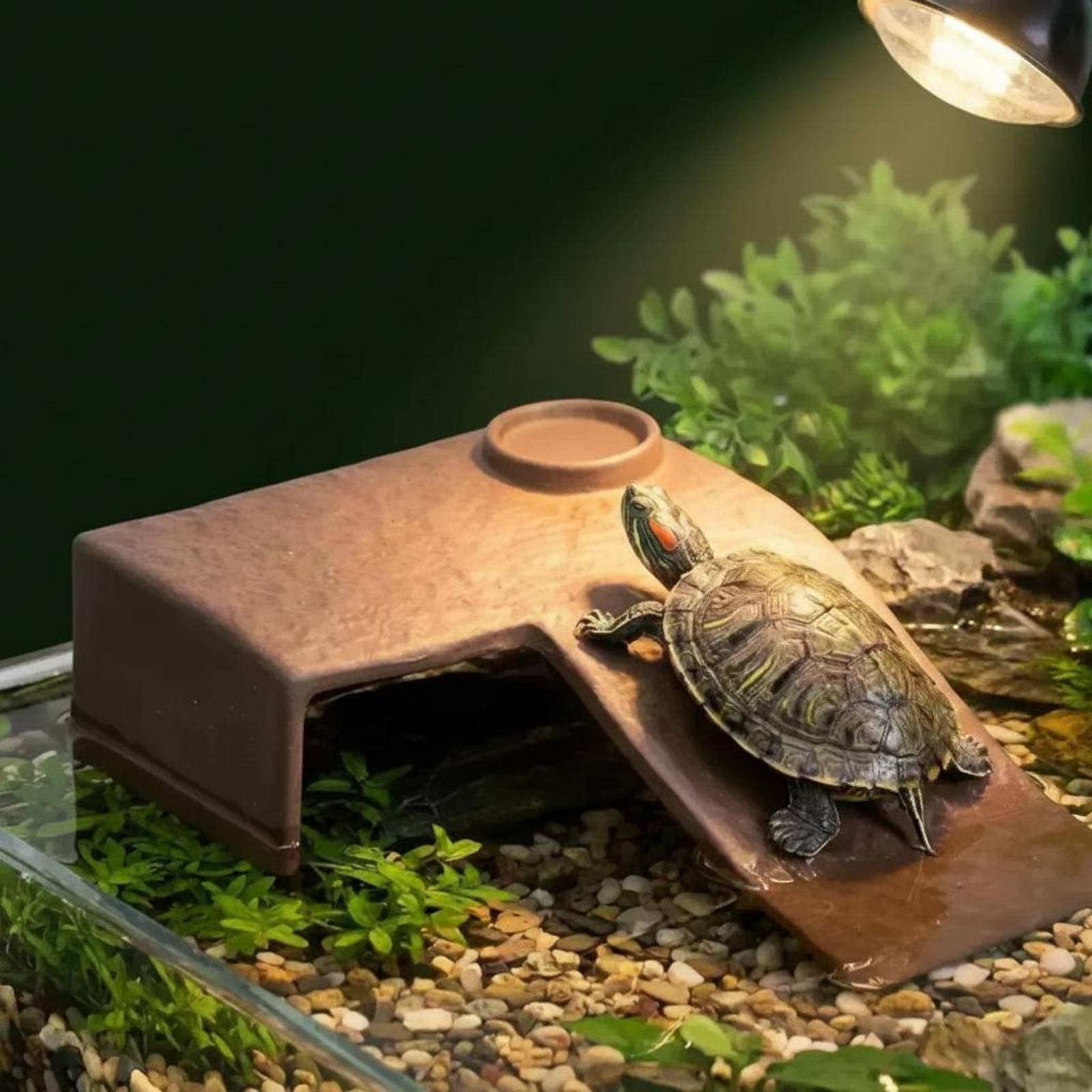 2 Pieces Turtle Basking Dock E – обзор и цена Hide Cave Ceramic
