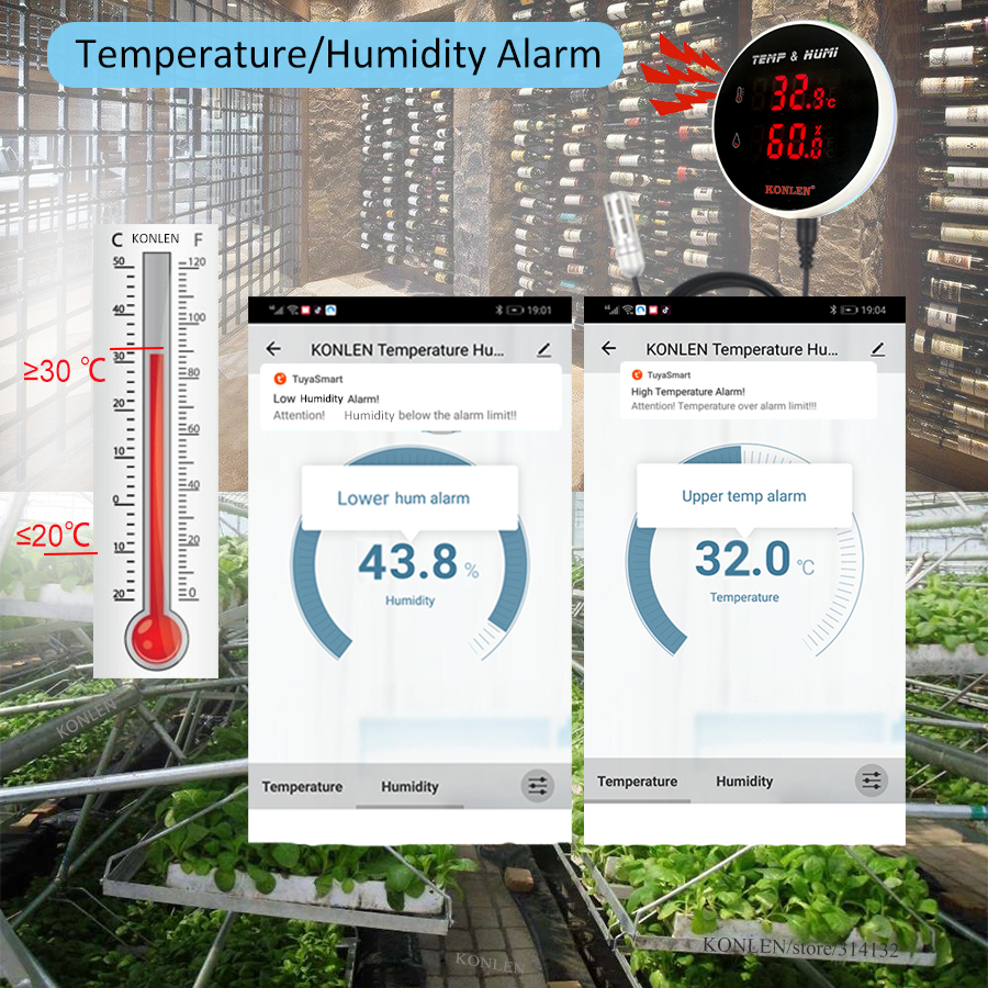 Tuya WIFI Temperature Humidity – обзор и цена Digital Hygrometer Probe