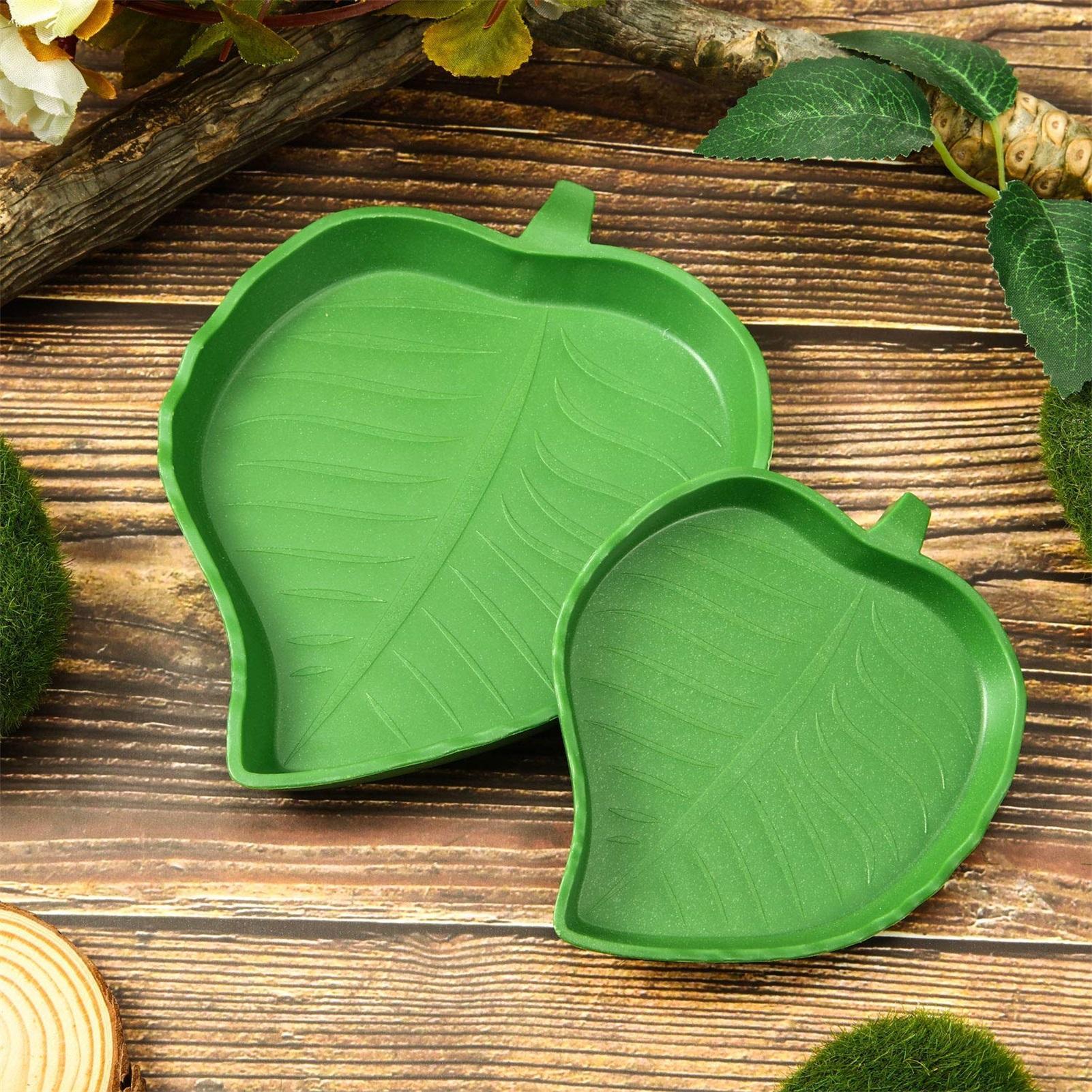 Turtle Feeding Bowl Reptile Fe – обзор и цена Water Dish Reptile