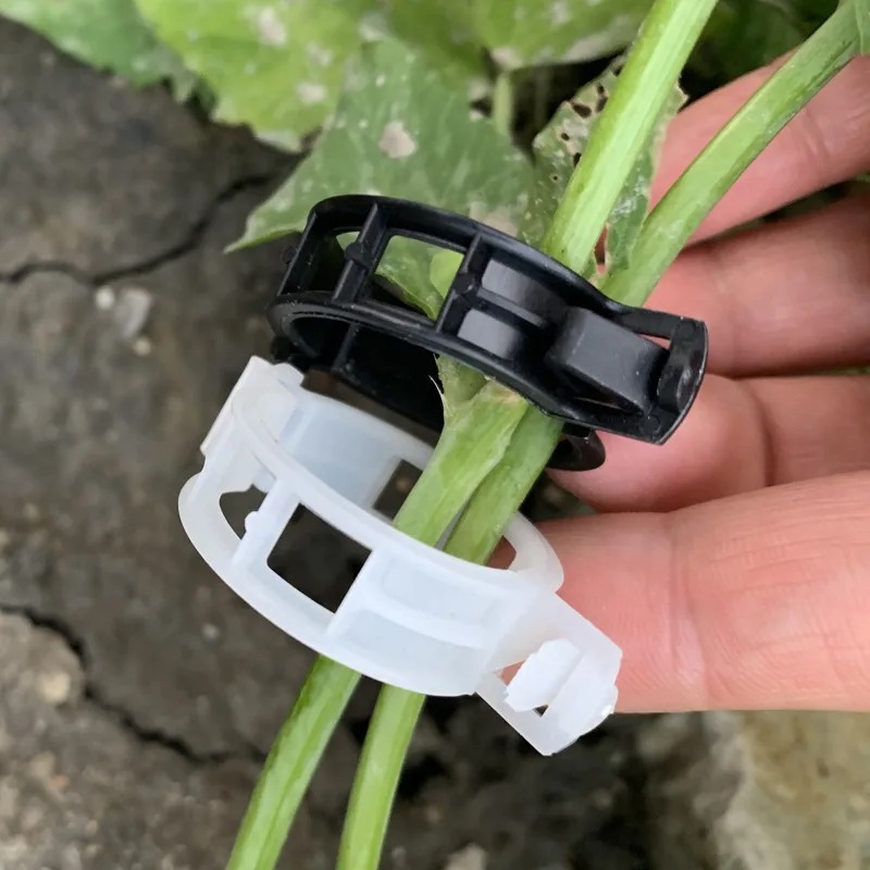 Reusable Plastic Plant Support – обзор и цена Vine Climbing Plastic