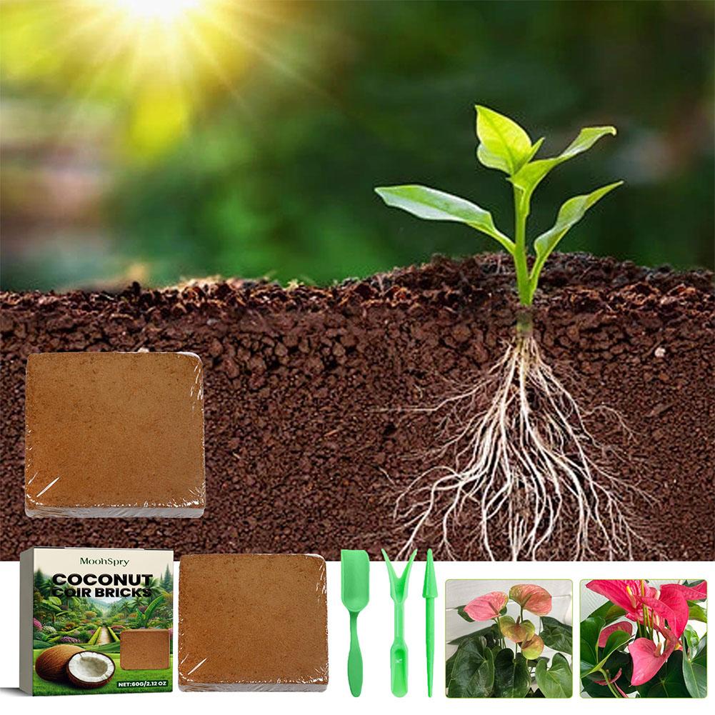 Reptile Coconut Soil Coir Pres – обзор и цена Substrate Coconut Fiber