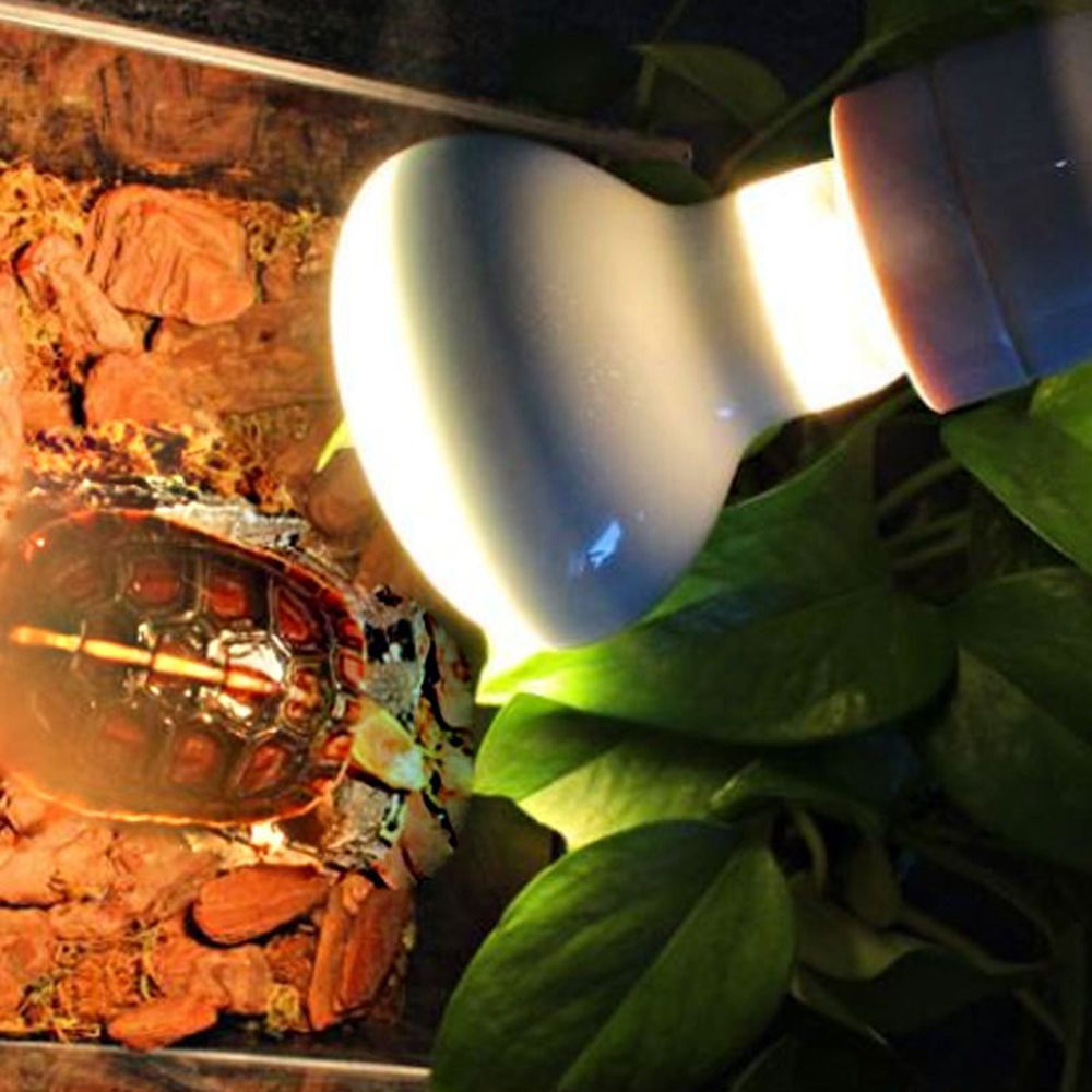 Lizard Heater Temperature Cont – обзор и цена Basking Bulb Halogen