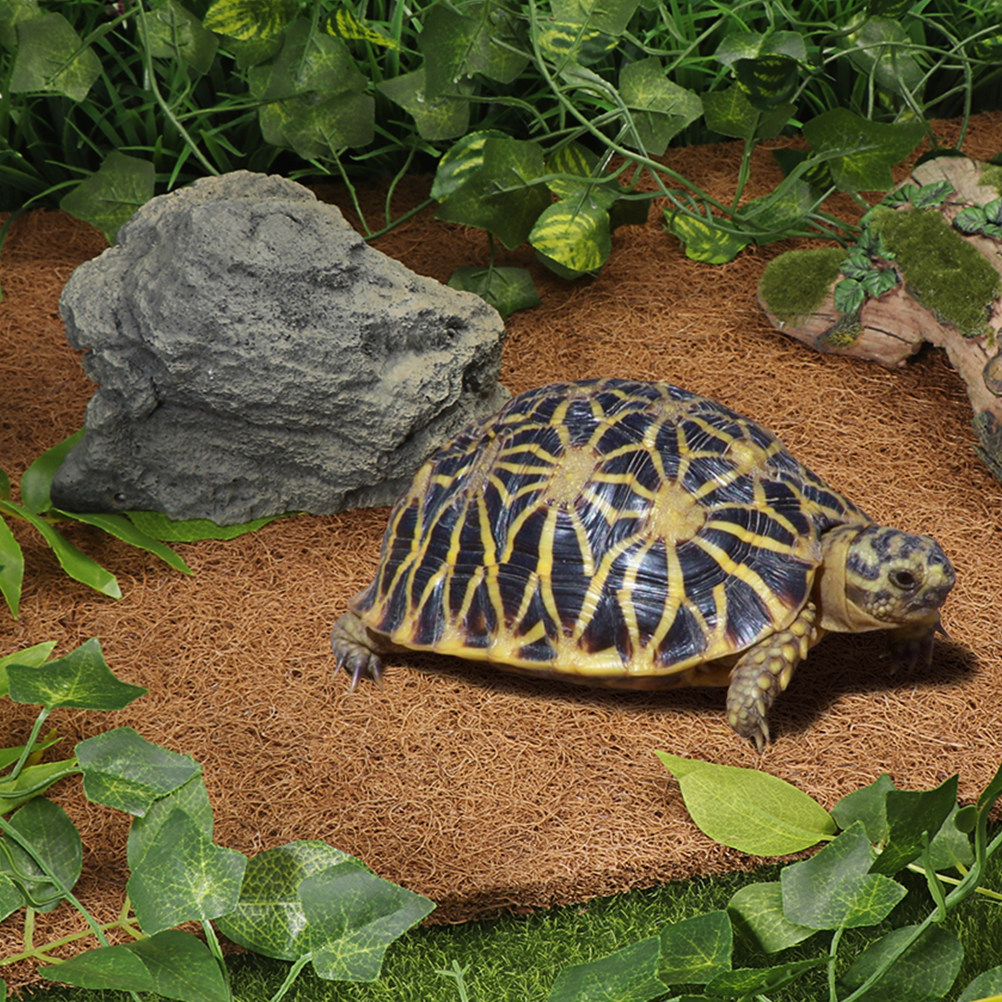 Coconut Fiber Reptile Mat Non- – обзор и цена Substrate Coconut Fiber