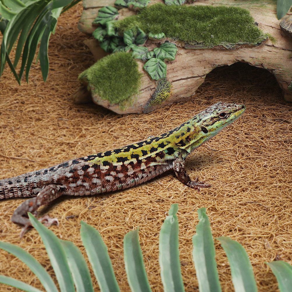 Coconut Fiber Reptile Mat Non- – обзор и цена Substrate Coconut Fiber