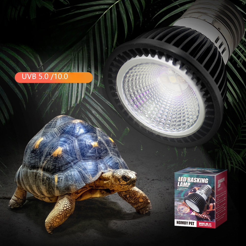 Reptile 110/220V UVB+UVA Light – обзор и цена Calcium Powder Reptile