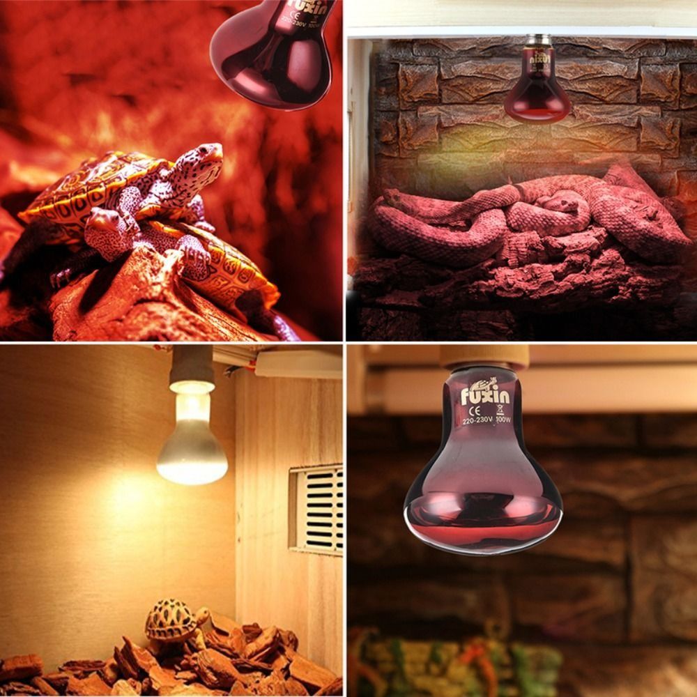Infrared Led Pet Heating Lamp  – обзор и цена Ceramic Heat Emitter