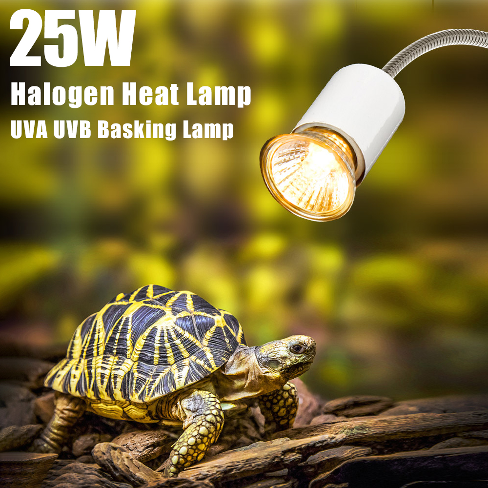 25W Halogen Heat Lamp UVA UVB  – обзор и цена Basking Bulb Halogen