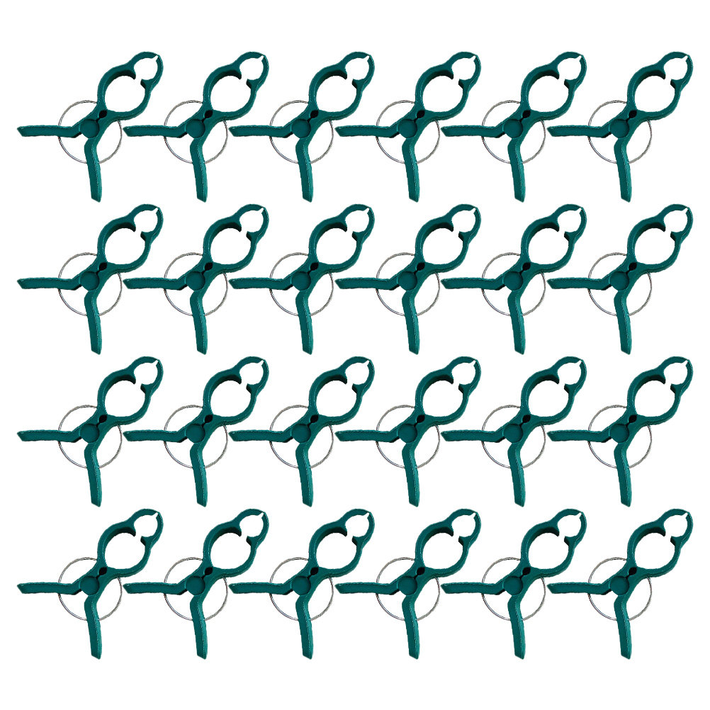 50Pcs Tomato Stem Support Clip – обзор и цена Vine Climbing Plastic
