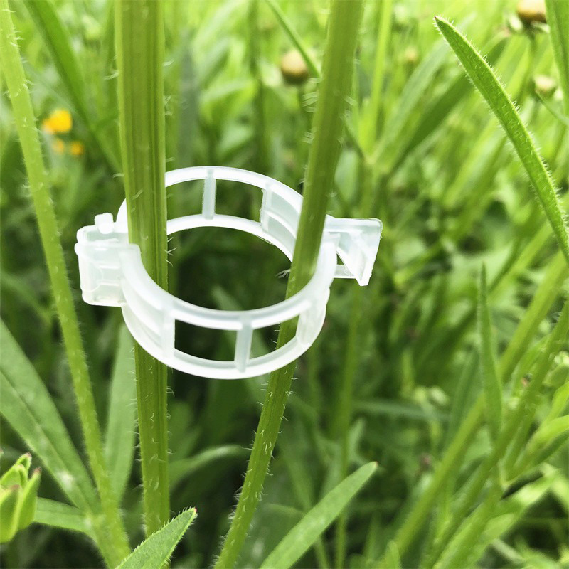 100pcs Clear Plastic Plant Cli – обзор и цена Vine Climbing Plastic