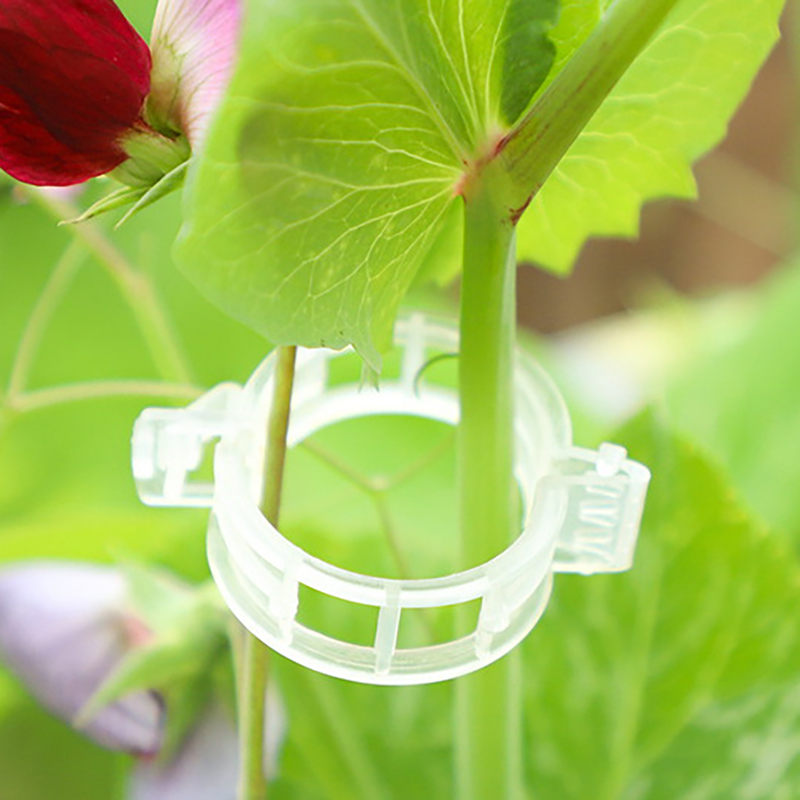 100pcs Clear Plastic Plant Cli – обзор и цена Vine Climbing Plastic