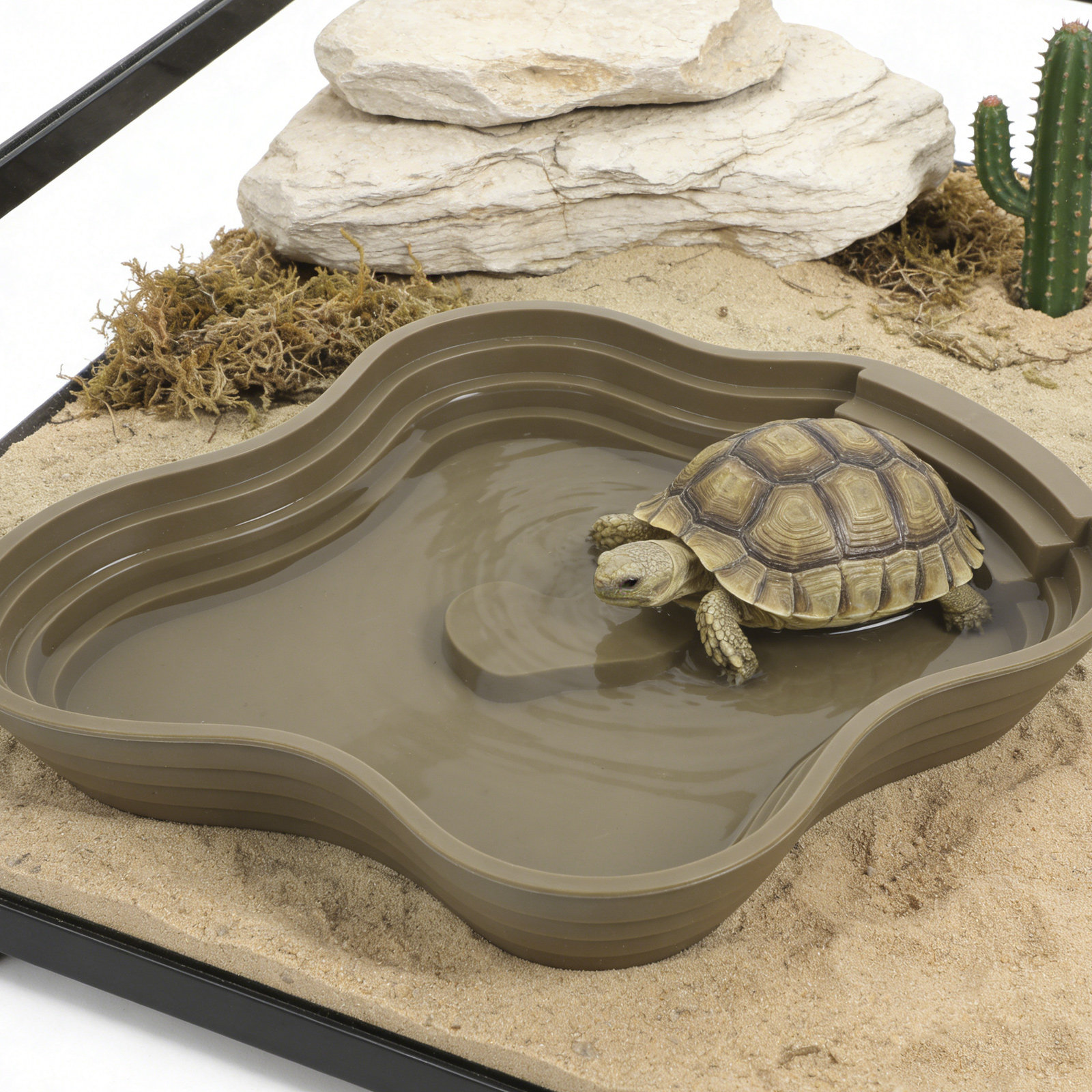 Large Turtle Reptile Bathing P – обзор и цена Water Dish Reptile
