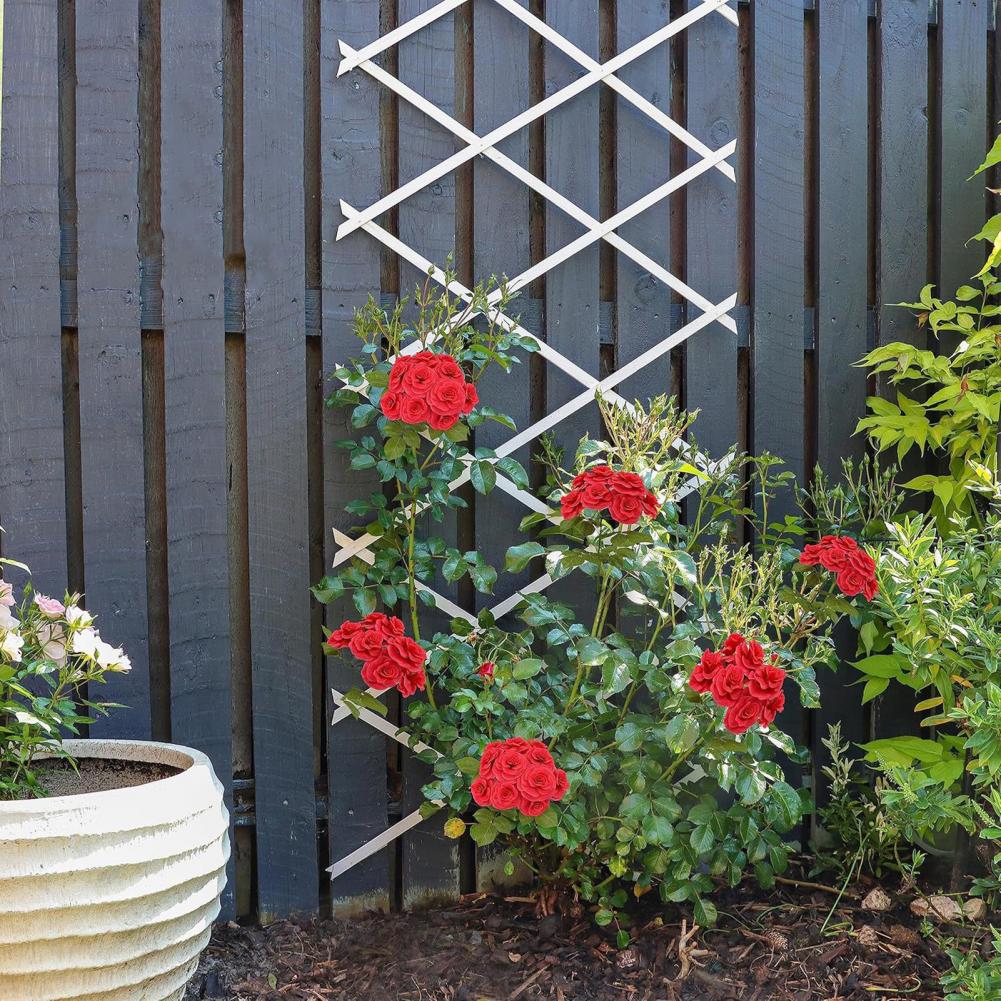 Expandable Garden Trellis 70 x – обзор и цена Vine Climbing Plastic