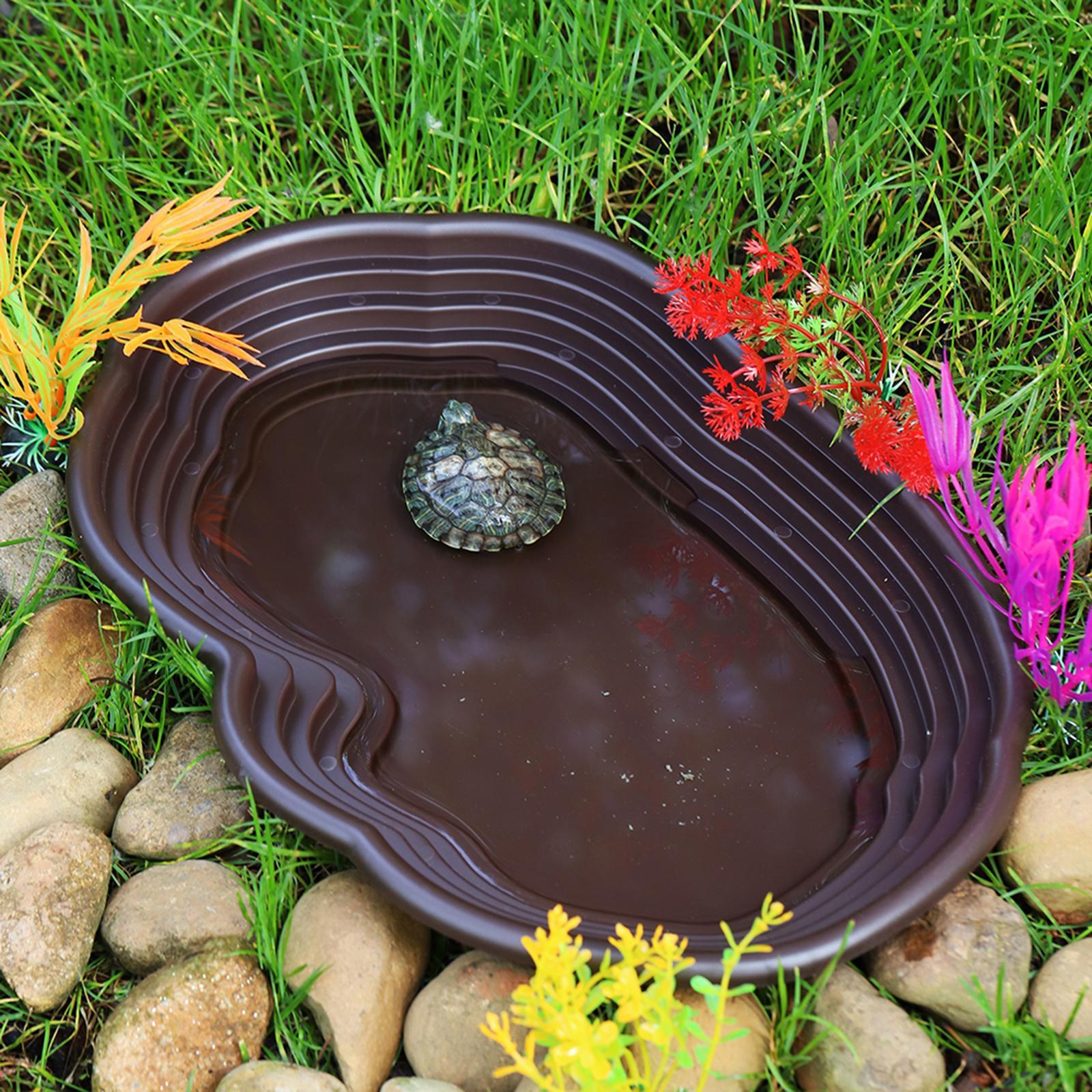 Reptile Bathing Dish Tortoise  – обзор и цена Water Dish Reptile