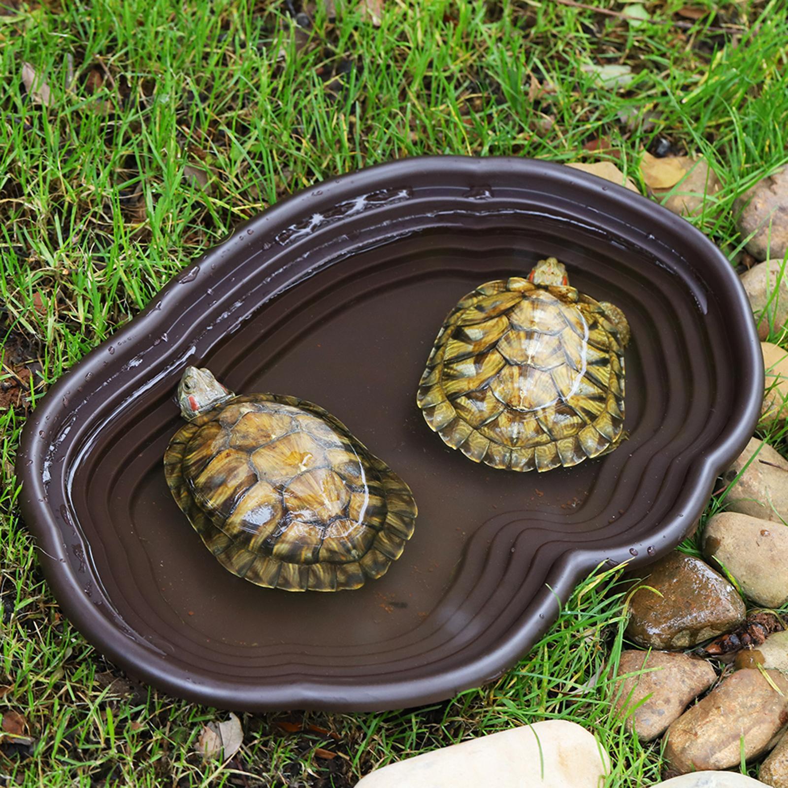 Reptile Bathing Dish Tortoise  – обзор и цена Water Dish Reptile