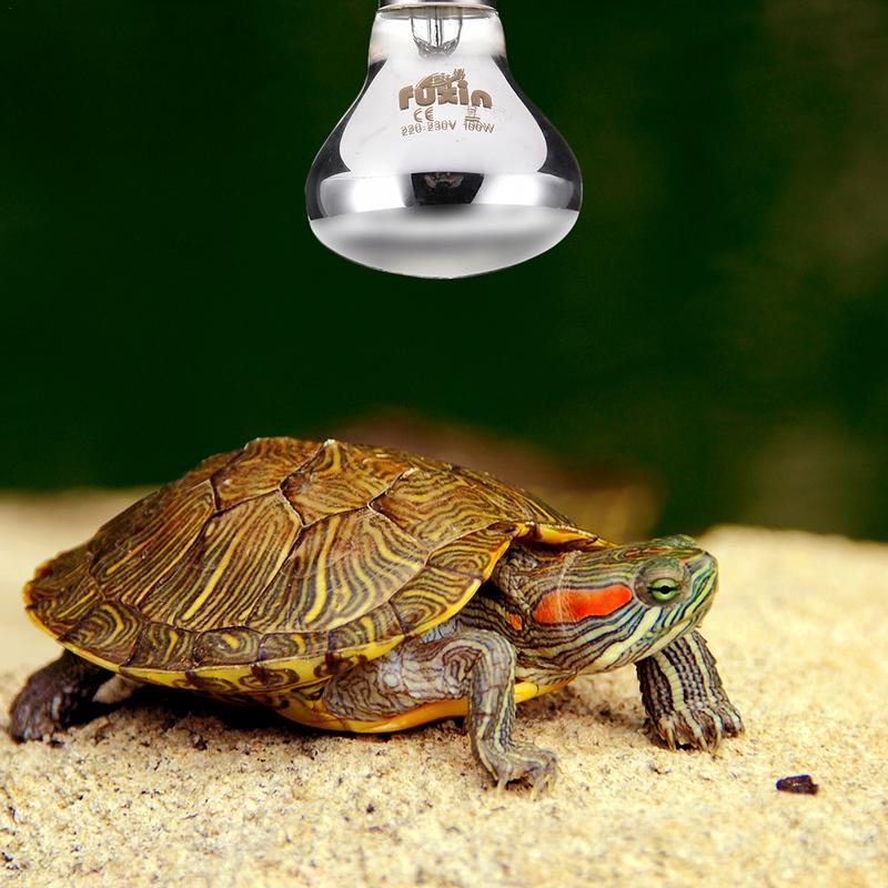 Pet Heating Lamp E27 Day Night – обзор и цена Ceramic Heat Emitter