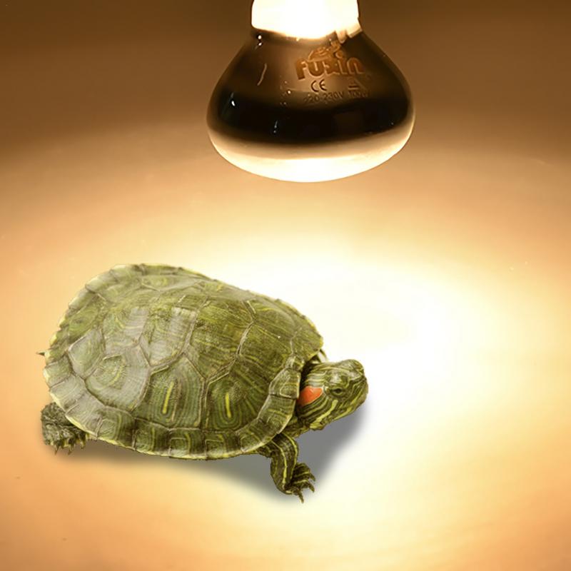Pet Heating Lamp E27 Day Night – обзор и цена Ceramic Heat Emitter