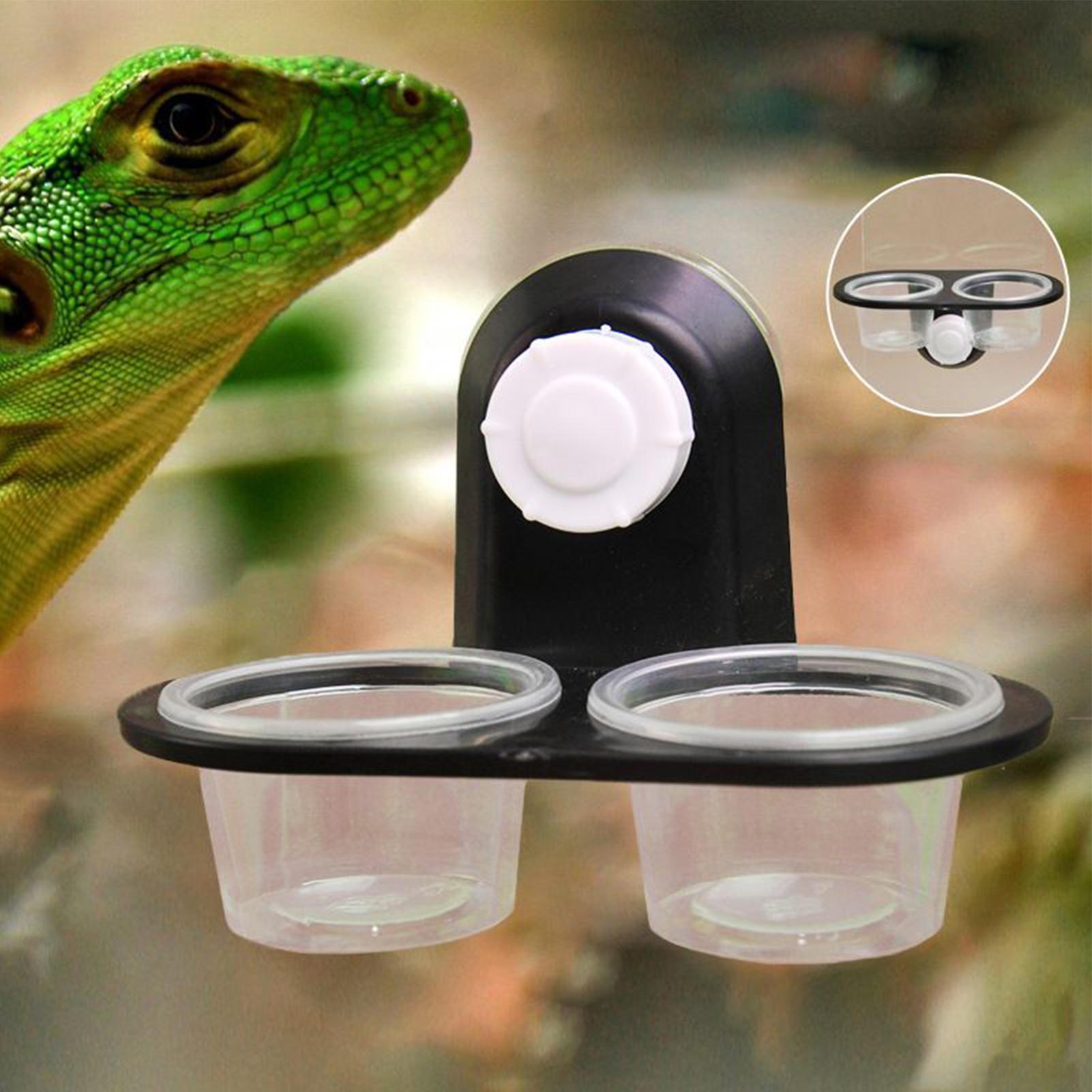 Gecko Food Dish Gecko Feeding  – обзор и цена Water Dish Reptile