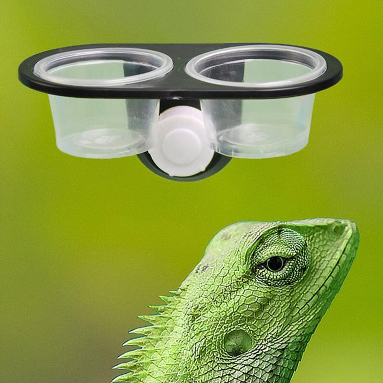 Gecko Food Dish Gecko Feeding  – обзор и цена Water Dish Reptile