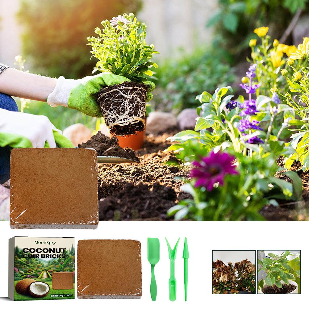 Reptile Coconut Soil Coir Pres – обзор и цена Substrate Coconut Fiber