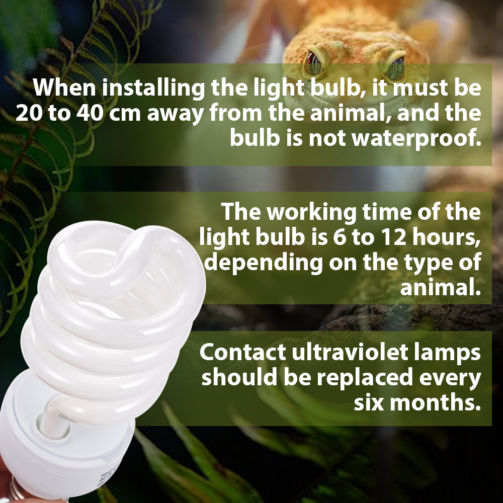26W Pet Box Lamp Calcium Suppl – обзор и цена Calcium Powder Reptile