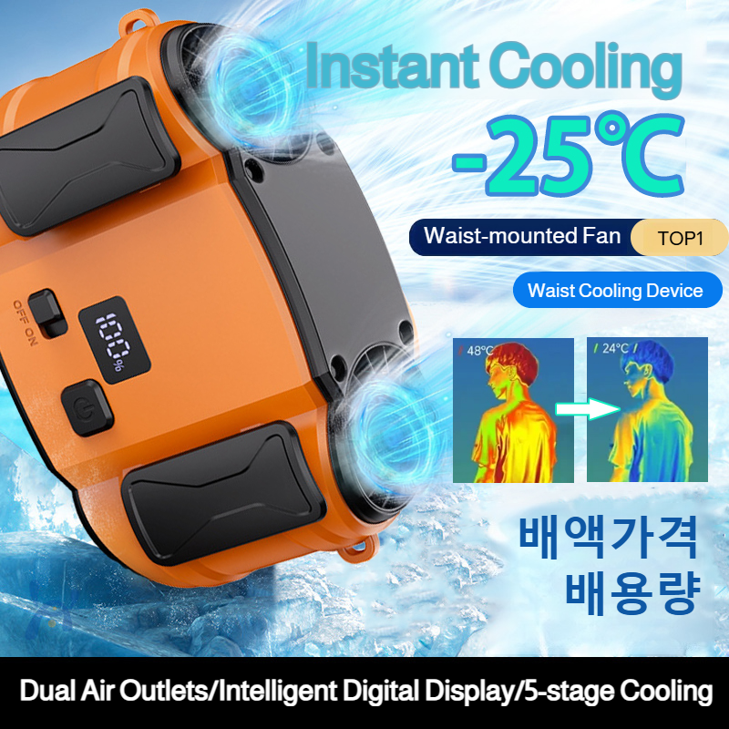 Outdoor Double Air Outlet Fan  – обзор и цена Timer Dual Outlet
