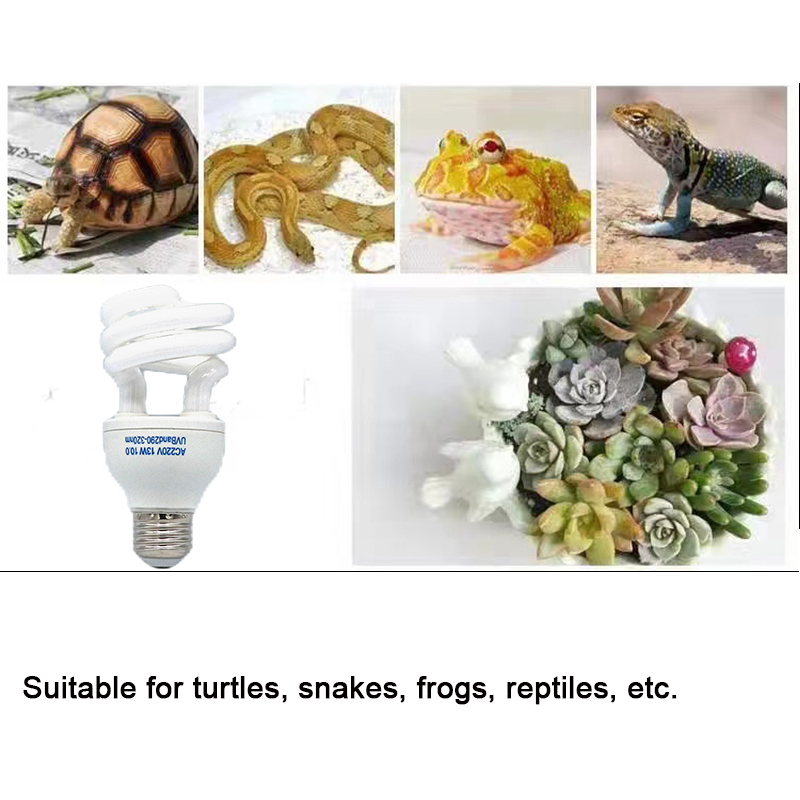 E27 13W/26W Reptile Uvb Lamp   – обзор и цена Calcium Powder Reptile