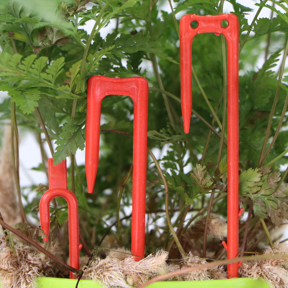 20-50PCS Strawberry Planting F – обзор и цена Vine Climbing Plastic