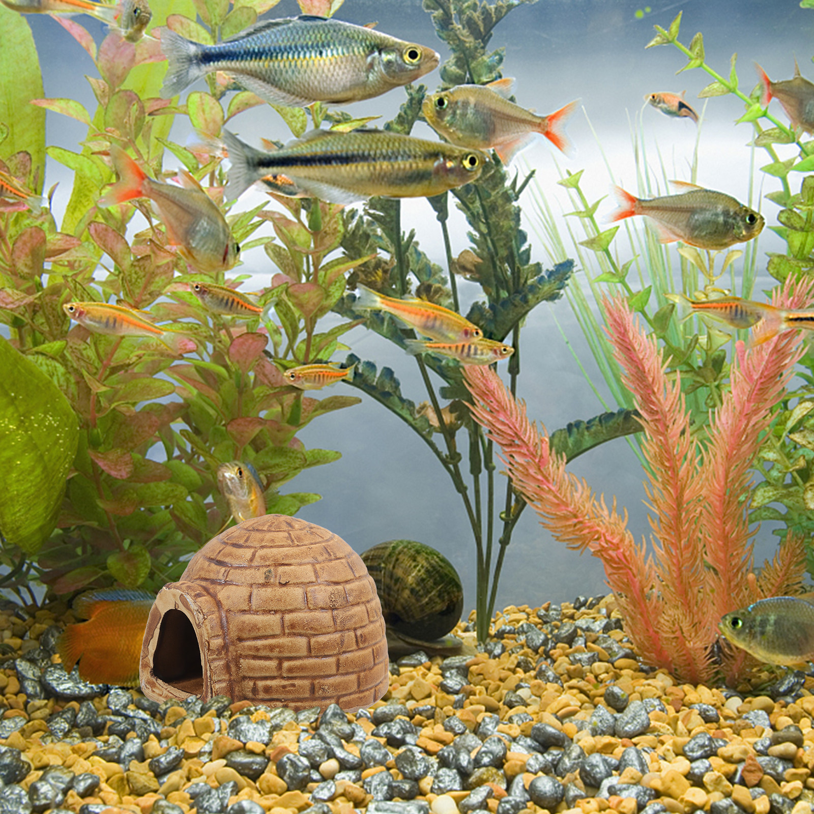 Ceramic Pleco Caves for Aquari – обзор и цена Hide Cave Ceramic