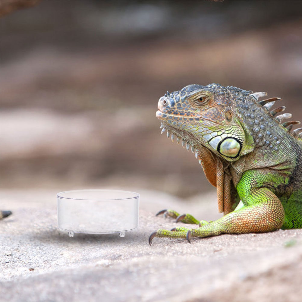 10Pcs Acrylic Reptile Food Dis – обзор и цена Water Dish Reptile