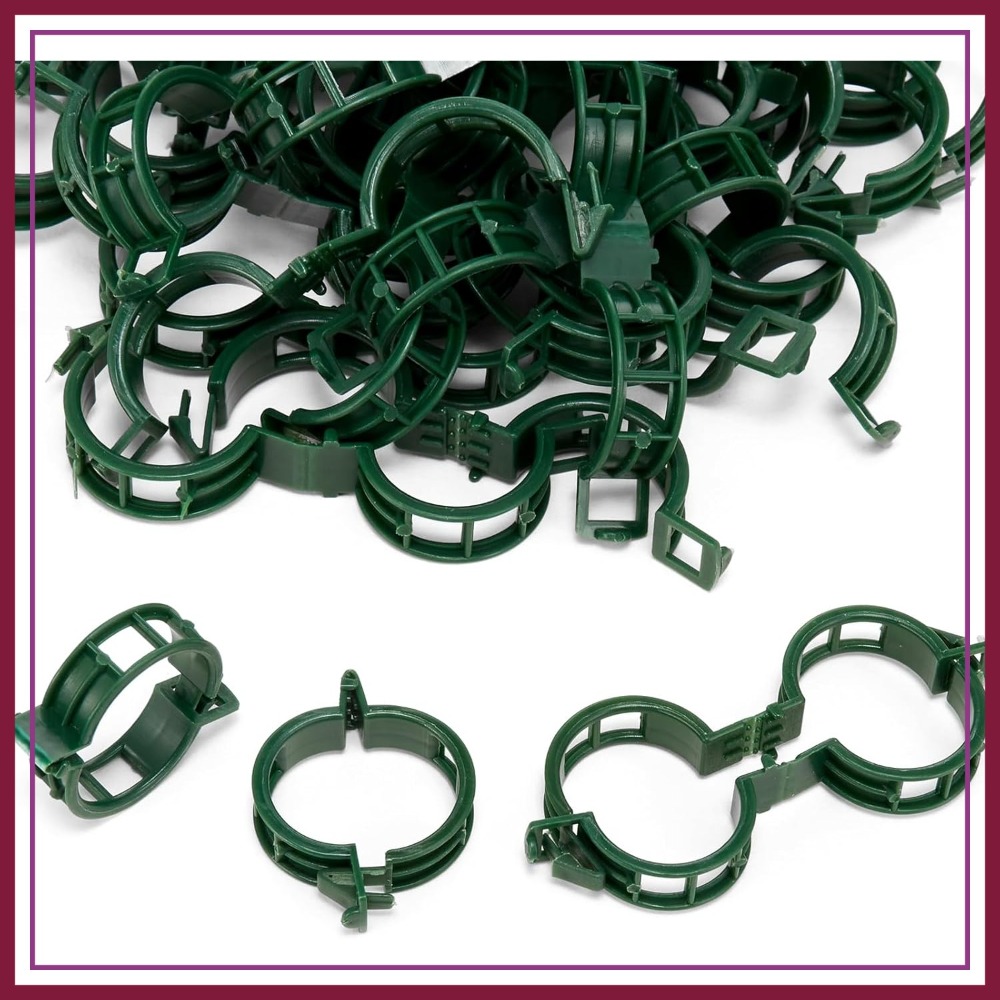 100 Pcs Plant Support Clips fo – обзор и цена Vine Climbing Plastic
