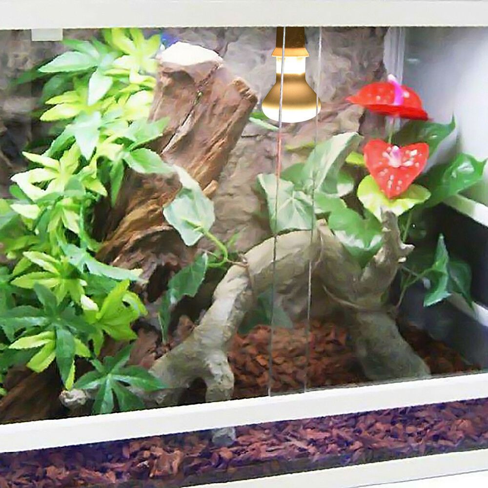 Turtle Temperature Controller  – обзор и цена Basking Bulb Halogen
