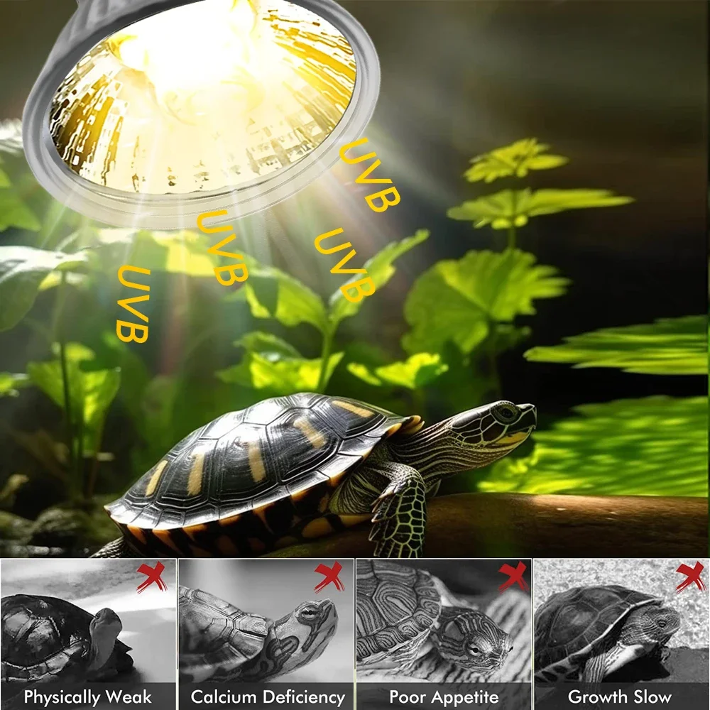 25/50/75W UVB Reptile Lamp Bul – обзор и цена Calcium Powder Reptile
