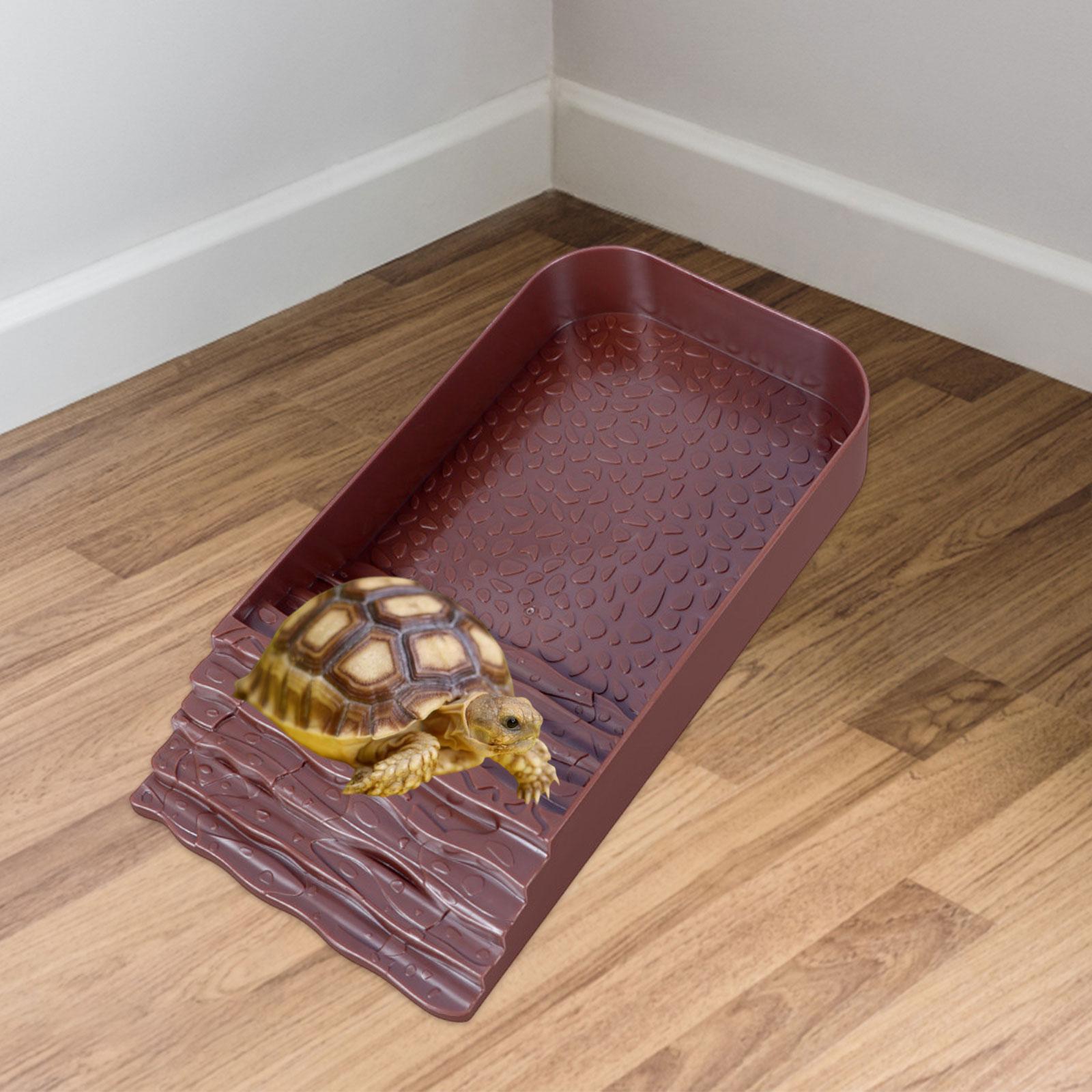 Reptile Water Bowl Accessories – обзор и цена Water Dish Reptile