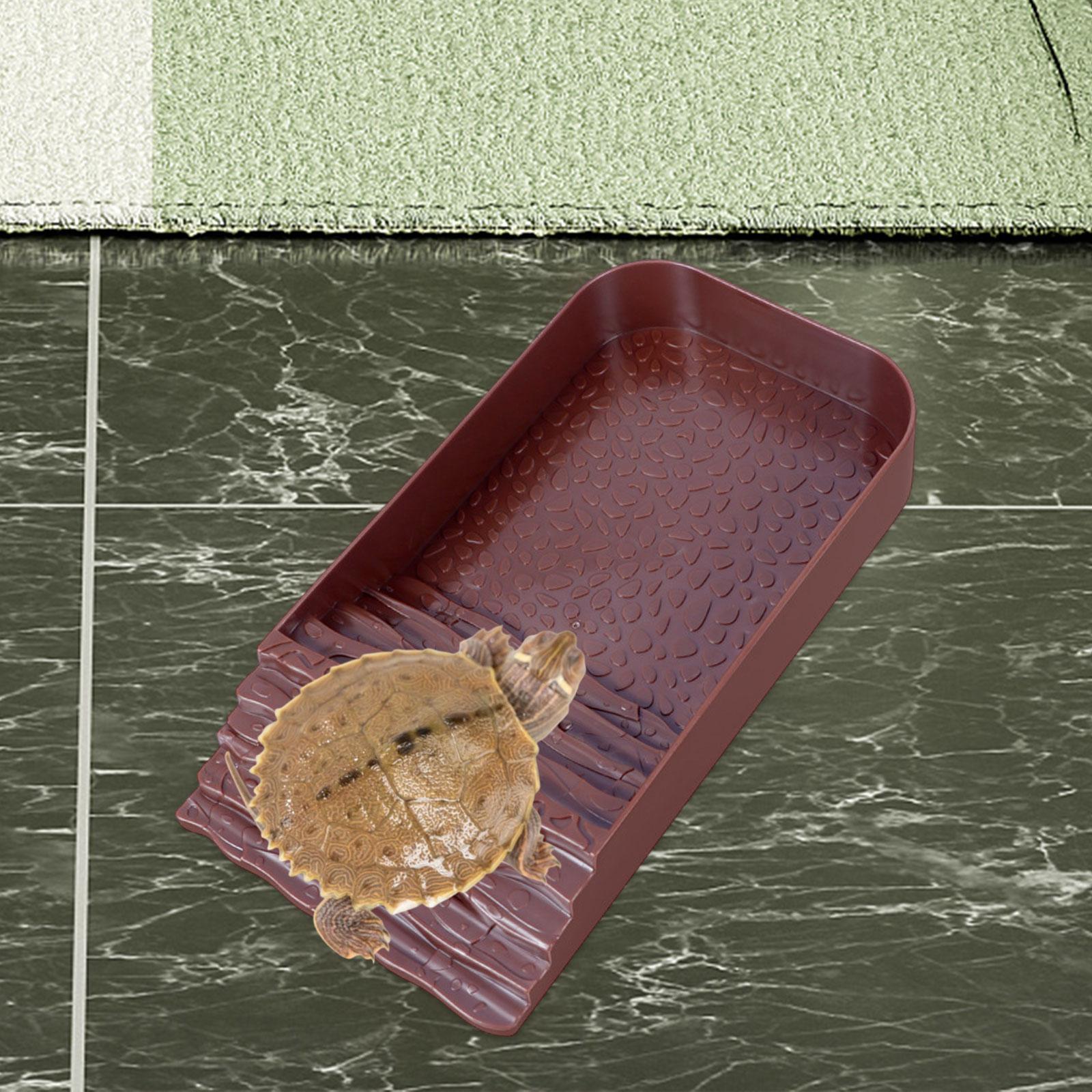 Reptile Water Bowl Accessories – обзор и цена Water Dish Reptile