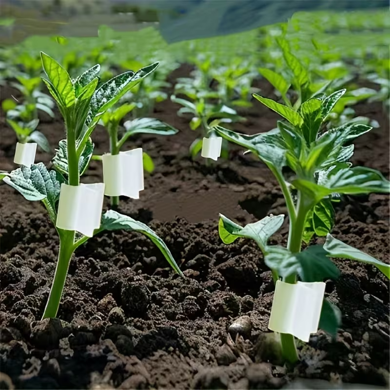 50pcs Agriculture Grafting Cli – обзор и цена Vine Climbing Plastic