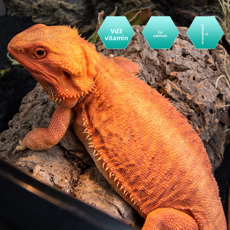 SuperRep Reptile Calcium Pro-V – обзор и цена Vitamin D3 Reptile