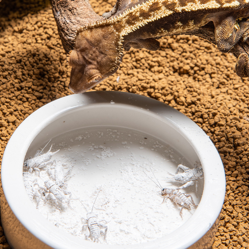 SuperRep Reptile Calcium Pro-V – обзор и цена Vitamin D3 Reptile