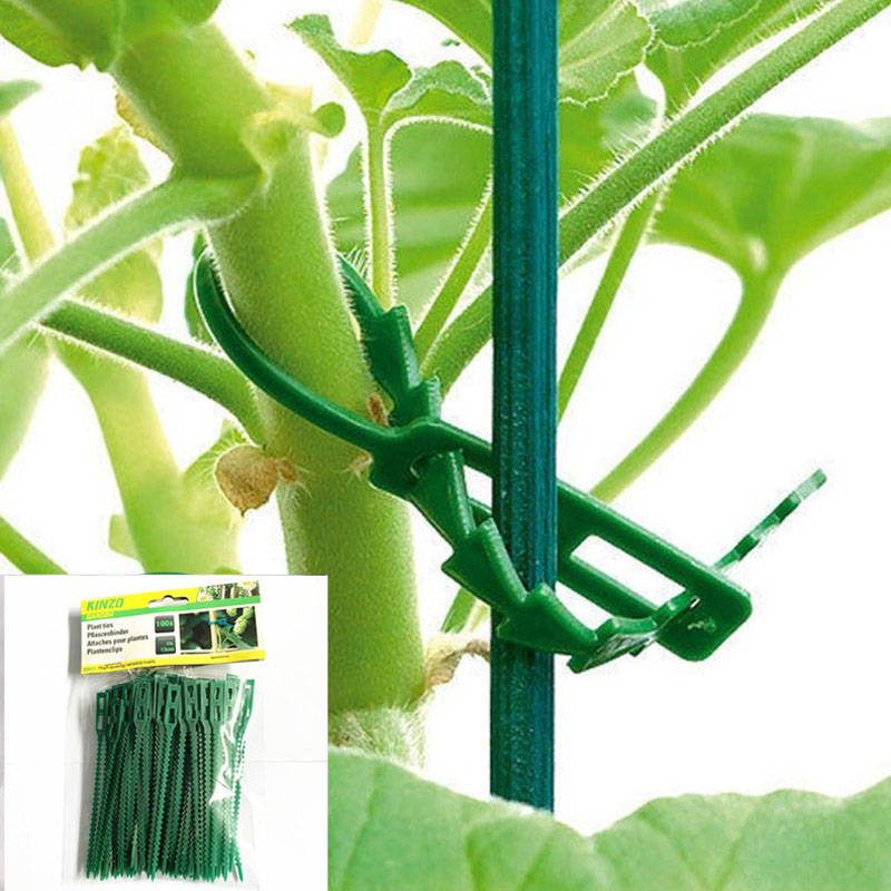 13cm Adjustable Plastic Plant  – обзор и цена Vine Climbing Plastic