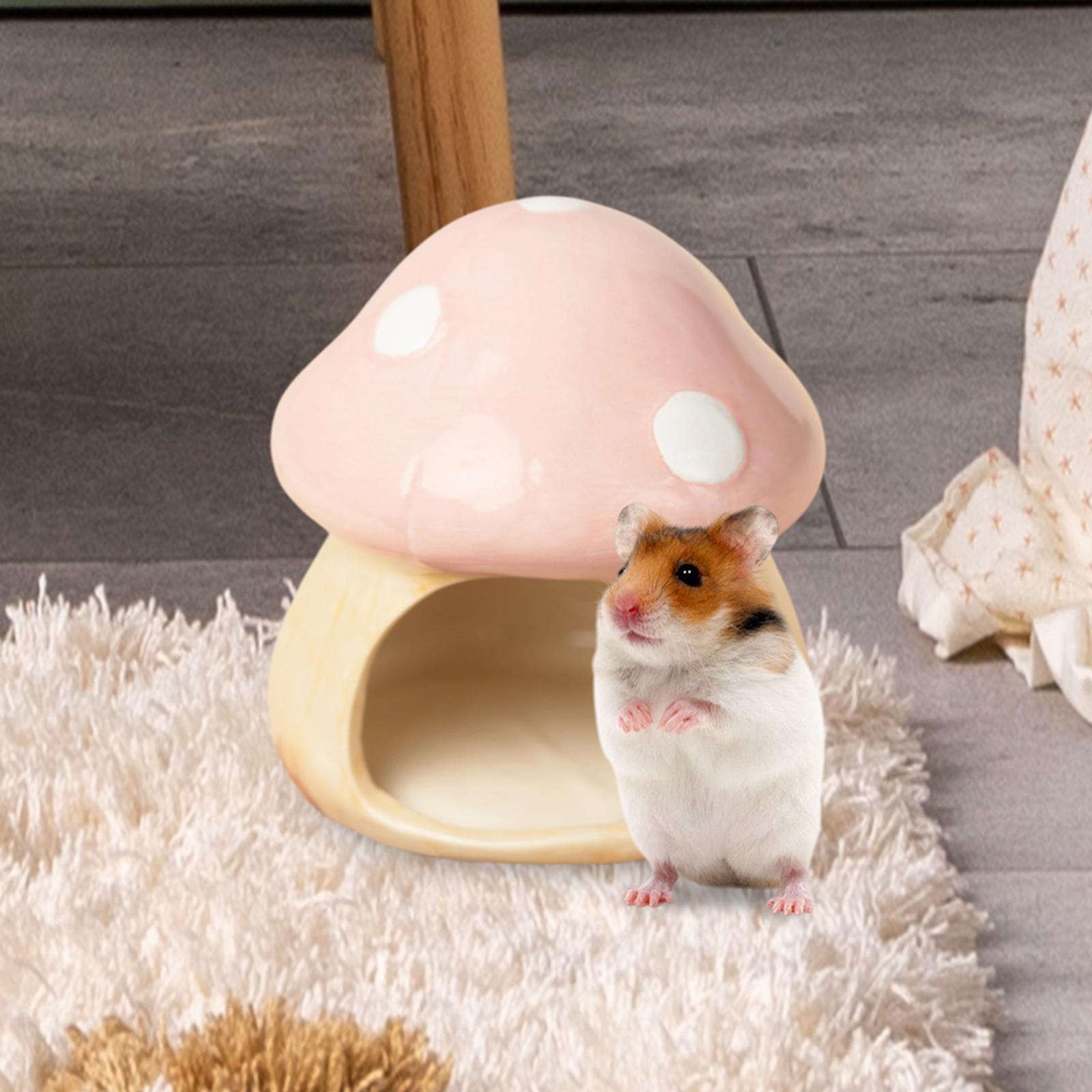 Ceramic Mushroom Hamster Hideo – обзор и цена Hide Cave Ceramic
